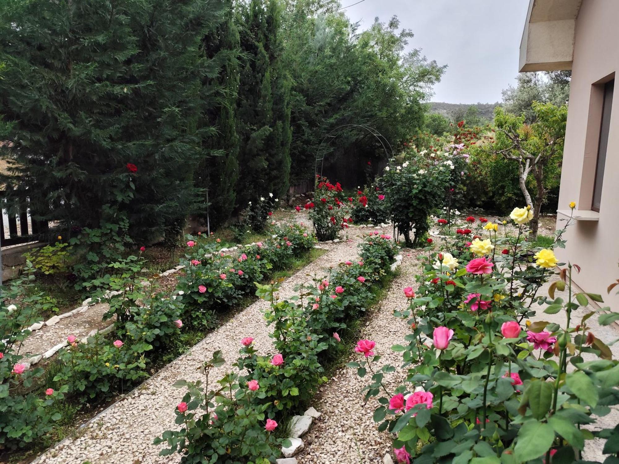 Roses Villa Trimiklini Zewnętrze zdjęcie